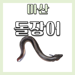  마산에서 돌장어가 먹고싶을때는 귀산동 보재기 횟집 - 돌장어 숯불구이