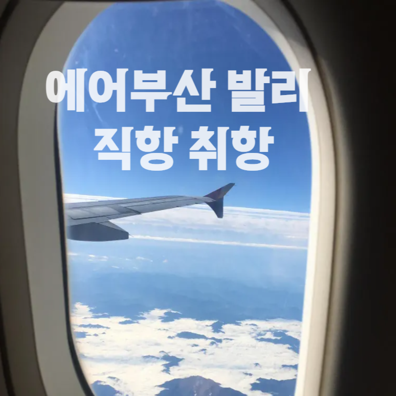 에어 부산 발리 직항 운항 스케쥴 좌석 배치도 feat. 좌석 정보 확인법