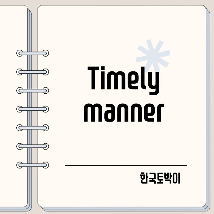  timely manner 뜻 (제때, 적기에 영어로)