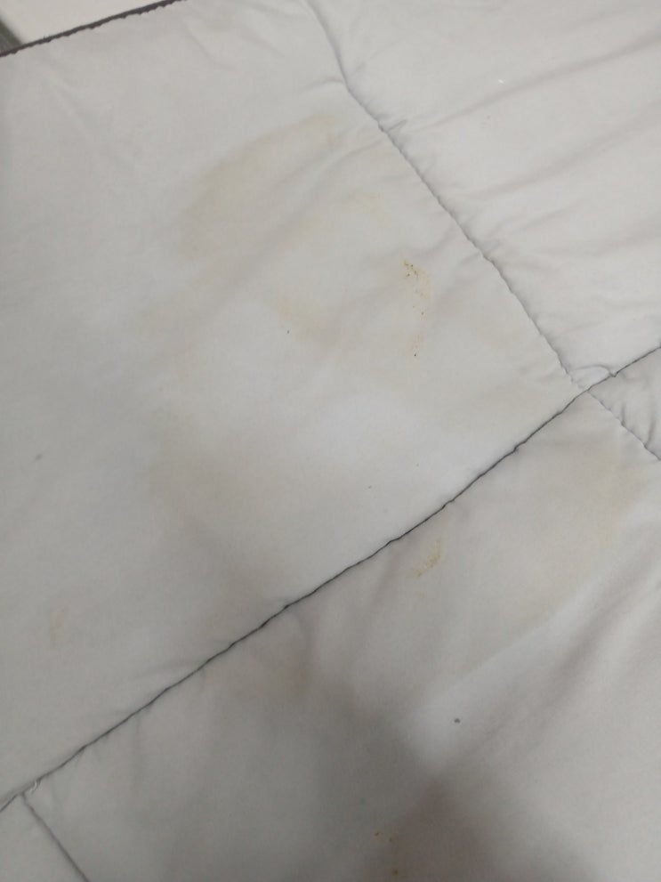  대전 도안동 이불빨래 잘 하는 곳 클린워시