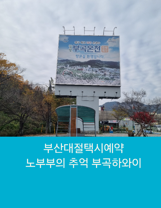  부산택시대절예약 노부부의 추억 부곡하와이운행