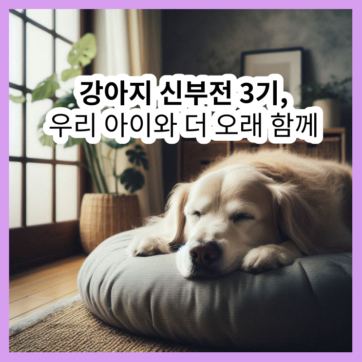  강아지 신부전 3기, 우리 아이와 더 오래 함께