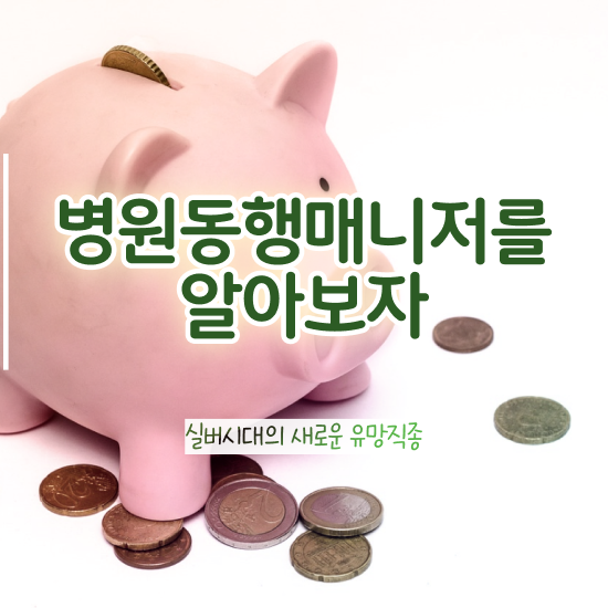  국가 자격증 추천 , 병원동행매니저 온라인 과정 100%로 직장인도 쉽고 빠르게 준비하는 후기