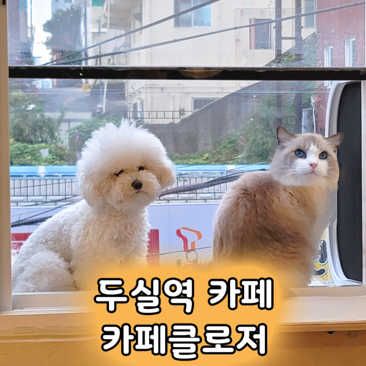  두실역 힐링카페 고양이와 강아지가 있는 아늑한 카페클로저