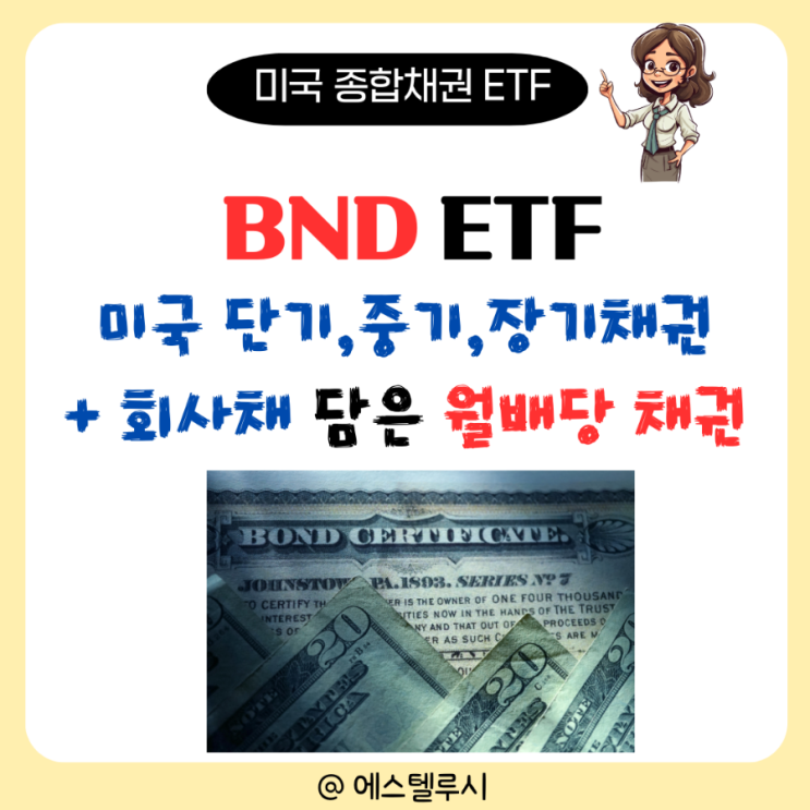  BND ETF, 단기 장기 국채와 회사채 담은 월배당 미국 종합 채권 상품 분석