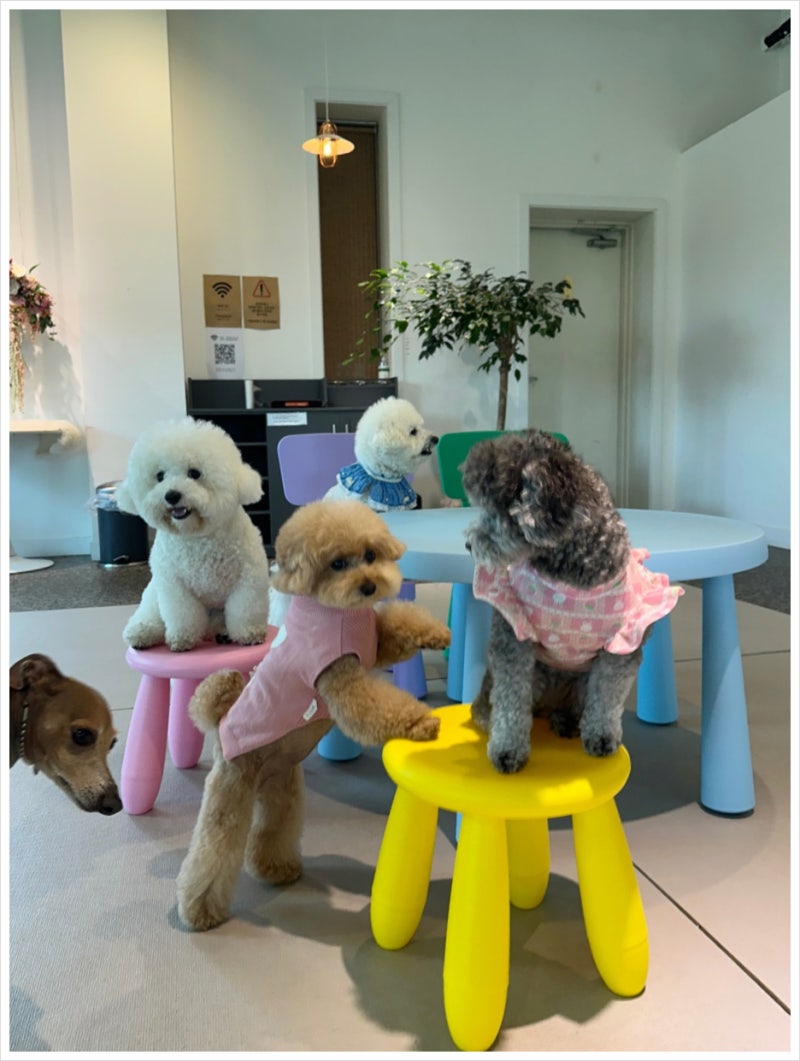 사진 7
