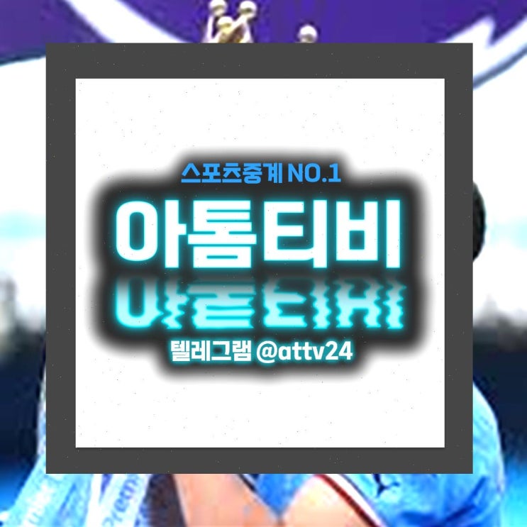24년11월20일21일 여자<b>프로배구</b>팀 <b>현대건설 정관장</b> GS칼텍스... 