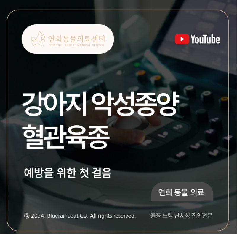 [24시 연희동물의료센터] 강아지 혈관육종 이야기, SBS 미우새 최진혁 반려견 몽실이 / 인천 24....