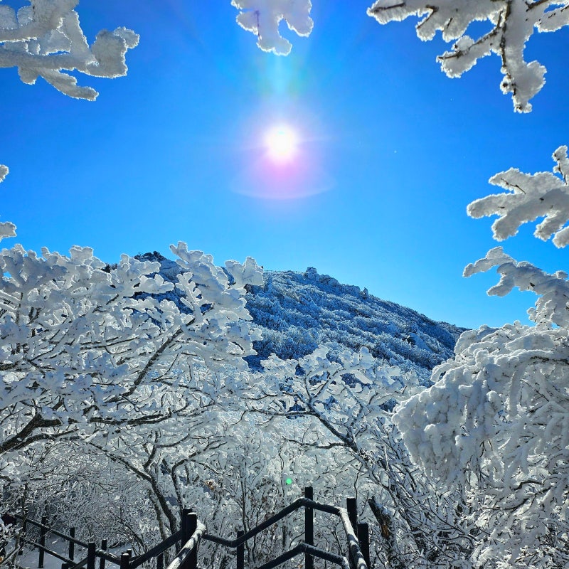 무주 덕유산 곤도라 예약 방법 산행준비물 향적봉 소요시간