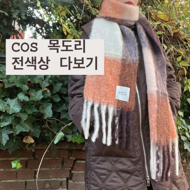  COS 목도리, 코스 머플러 전색상 | 프린지 브러시드 모헤어 머플러 그린, 터콰이즈 + 애프리콧 보르도 체크