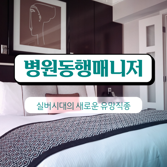 병원동행매니저자격증 취득했던 후기 , 온라인 강의