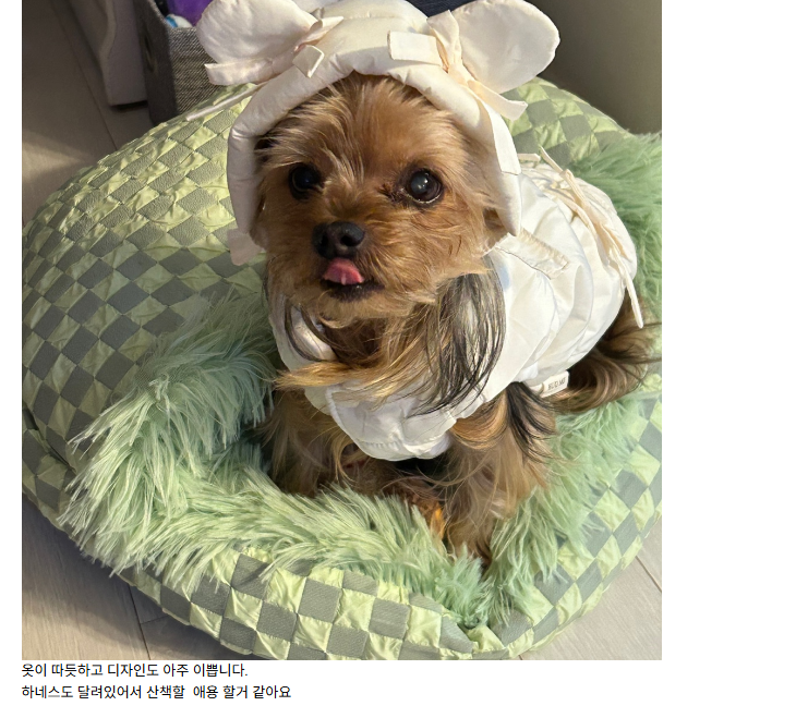  강아지 겨울옷을 찾고 있나요? 포토리뷰 남기고 3천 원 쿠폰 받자!