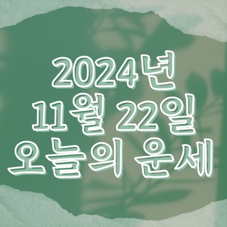  2024년 11월 22일 운세 오늘의운세 띠별운세