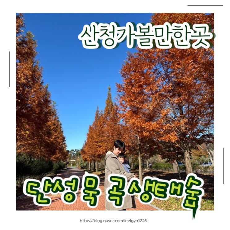  산청 가볼만한곳 단성면 단성묵곡생태숲 유아숲도 있어서 아이랑 가기좋아요