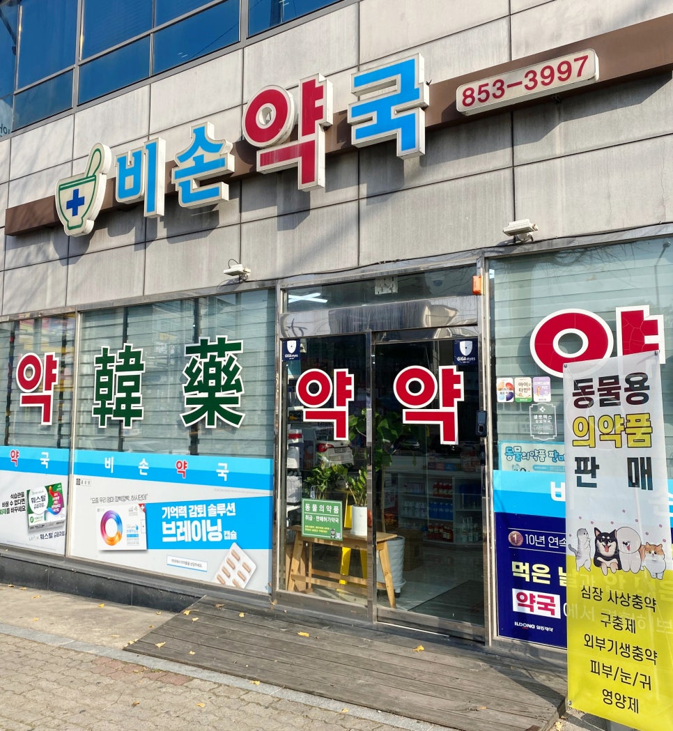 비손약국 사진 1