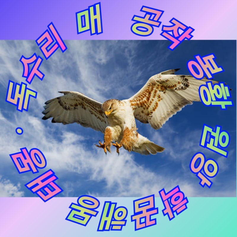 독수리꿈 매꿈 공작새꿈 봉황새꿈 원앙새꿈 학 꿈해몽 태몽