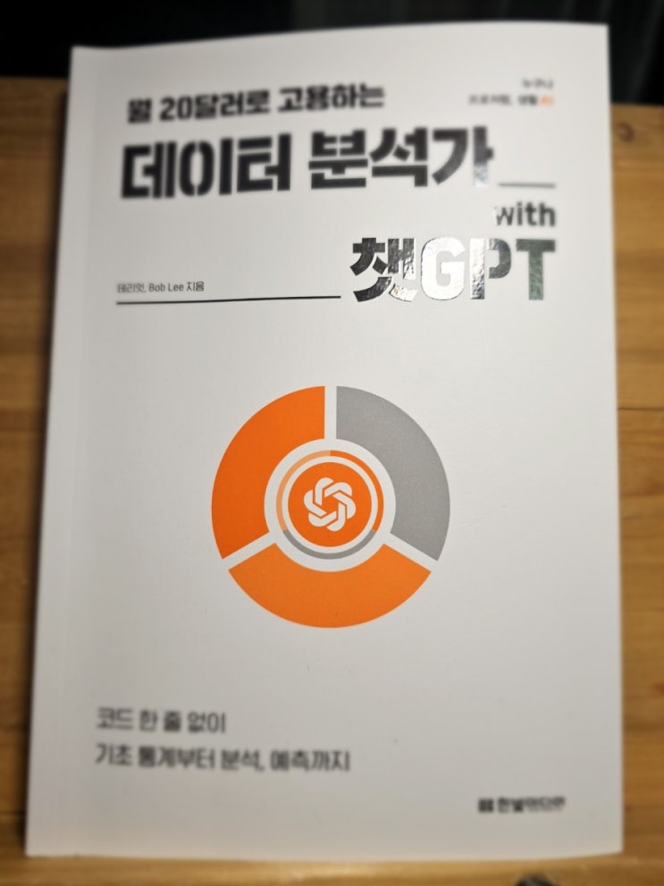  월 20달러로 고용하는 데이터 분석가 with GPT
