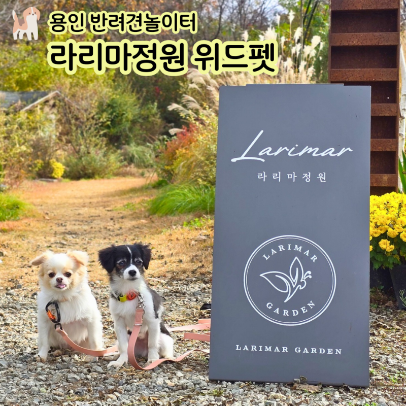 사진 3