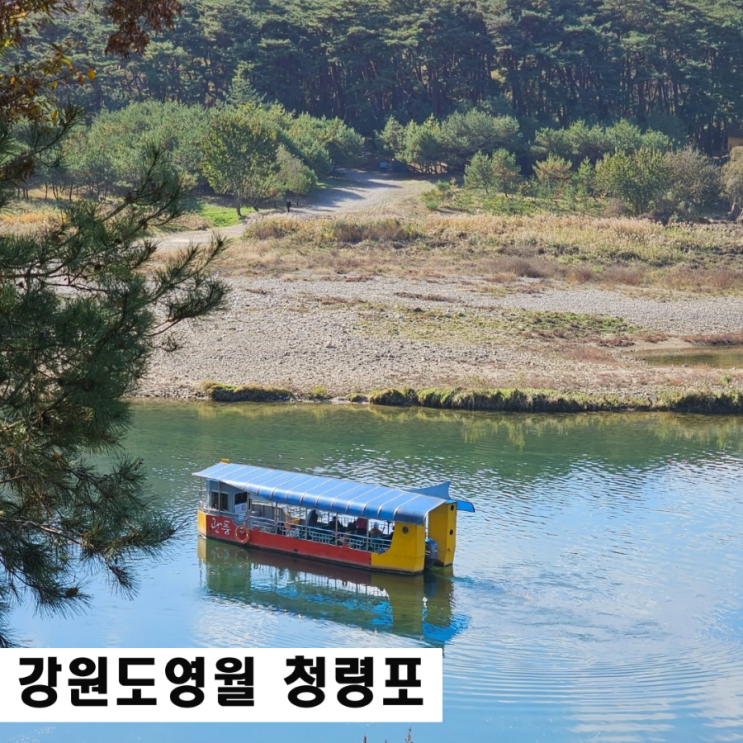  영월가볼만한곳 청령포 단종 유배지 입장료 주차
