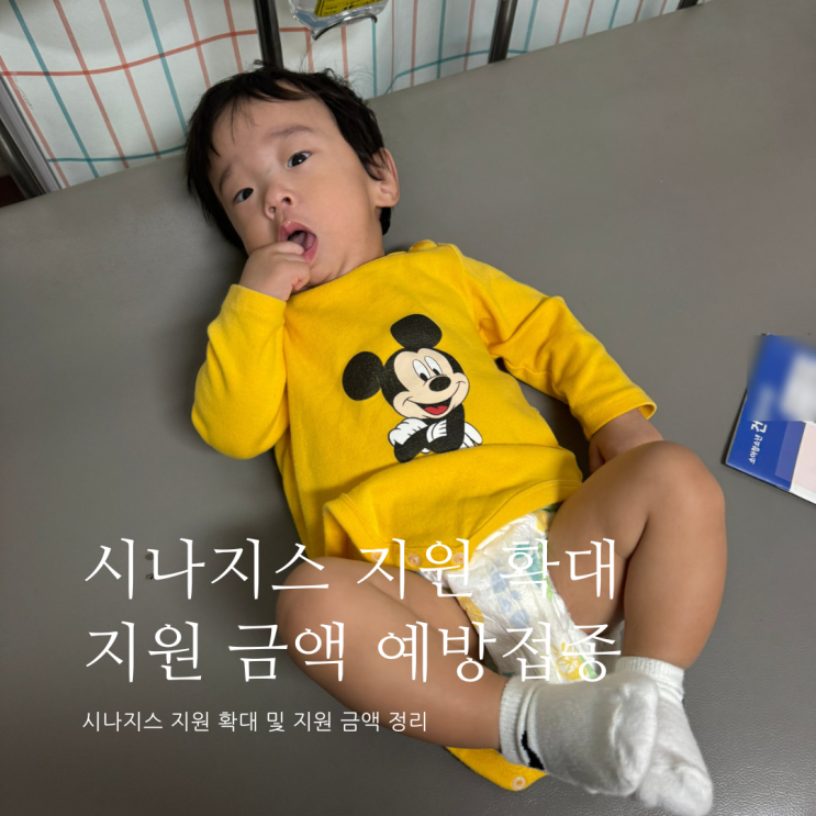 시나지스 지원 확대 지원금액 시나지스 예방접종 시나지스 경감 시나지스 지원 확대 지원금액 시나지스 예방접종 시나지스 경감