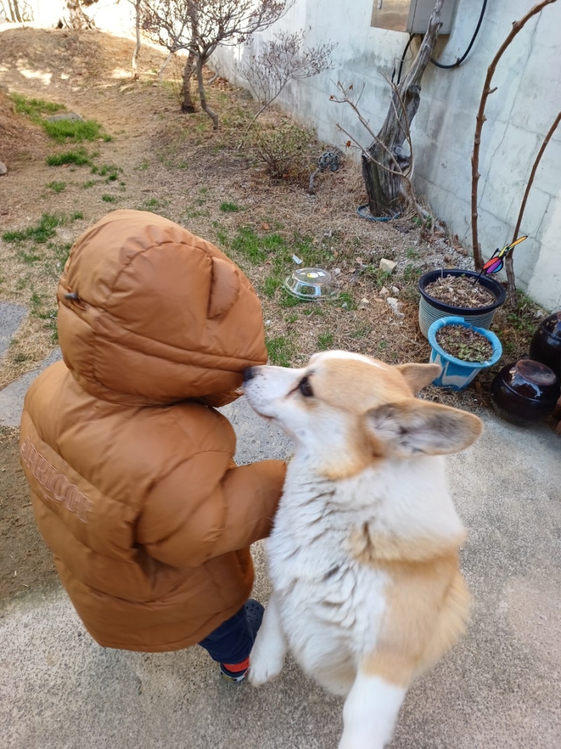 아프리콧스튜디오 토곰 패딩 리뷰(23년제품)/24년 토곰 불량 이슈