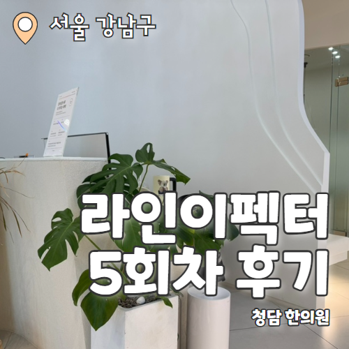  청담한의원 라인이펙터 5회차 팔뚝 지방분해 후기