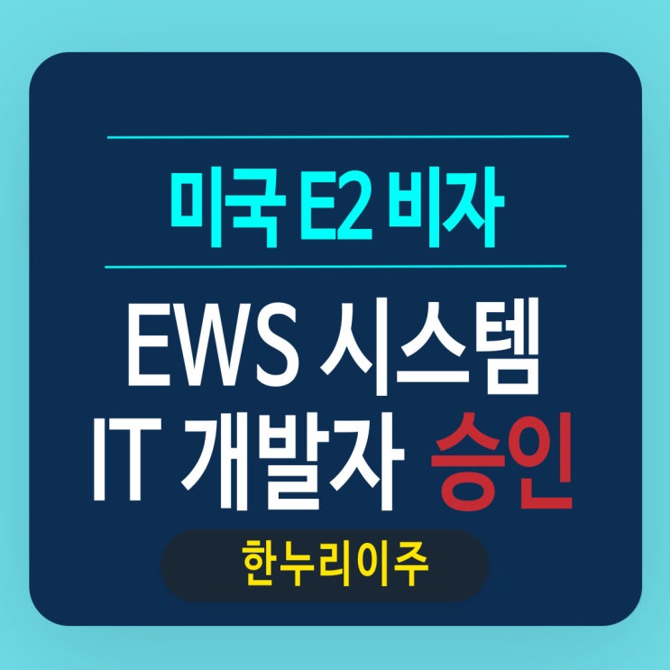  EWS 시스템  IT 개발자 미국E2비자 진행