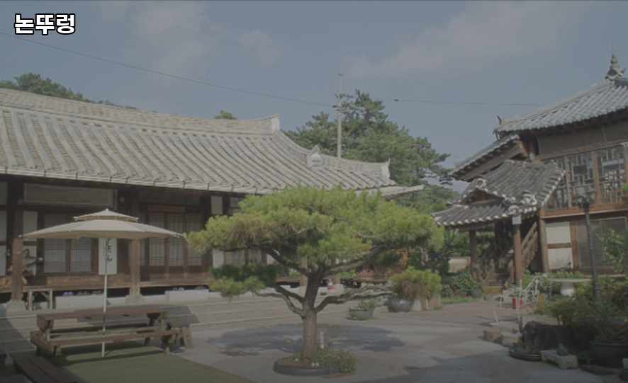 논뚜렁 사진 5