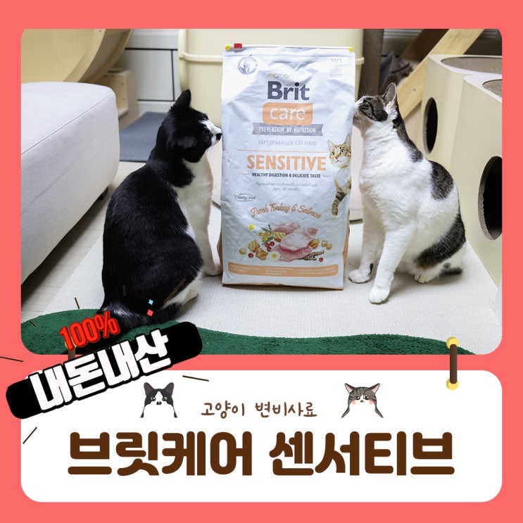  고양이 변비 사료 추천 브릿케어 센서티브 3일 급여 후기