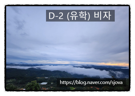  D-2 (유학) 비자
