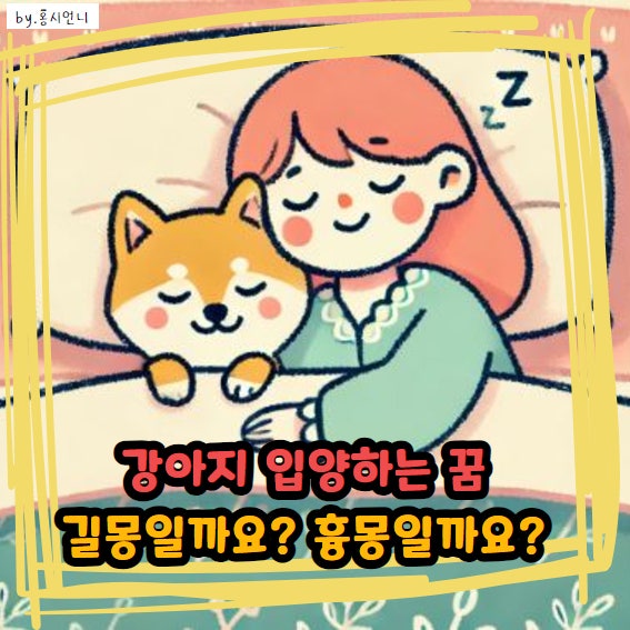 강아지 입양하는 꿈 의미, 해몽