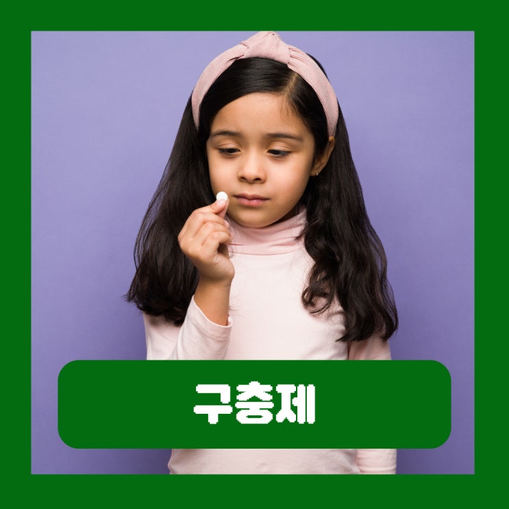  구충제 복용시기 회충약 복용법 주기 "이런" 사람이라면