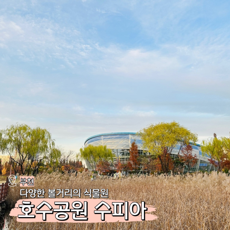  부천 수피아식물원 실내 가볼만한곳(상동호수공원)