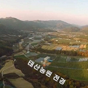 2024 대한민국 대표과일 선발대회, 포항 태산농원 서상욱대표 사과(후지) 대상