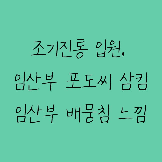 조기진통 입원, 임산부 포도씨 삼켜도 되나요, 임산부 배뭉침 느낌