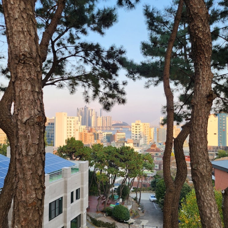  부산 남천동 황령산 새로운 힐링 스팟, 도모헌!️