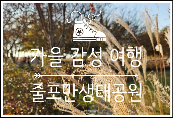  부안상설시장에서 맛보고, 포레도에서 힐링하며 가을을 만끽한 부안여행