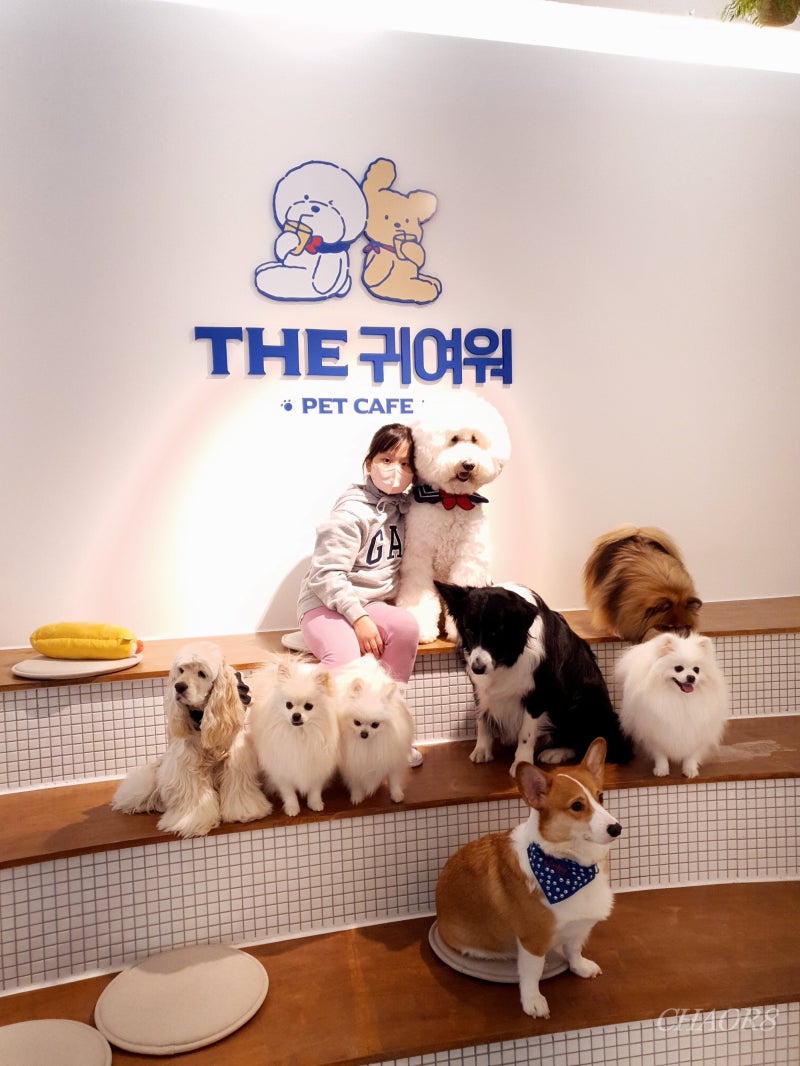 사진 5