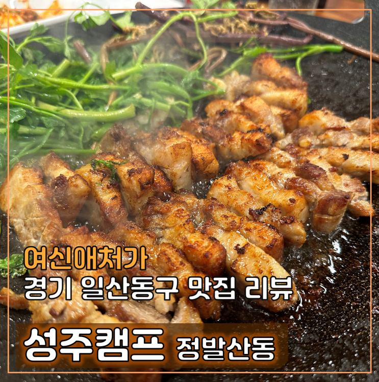  정발산동 삼겹살 맛집 성주 캠프, 도심 속 캠핑을 즐기다