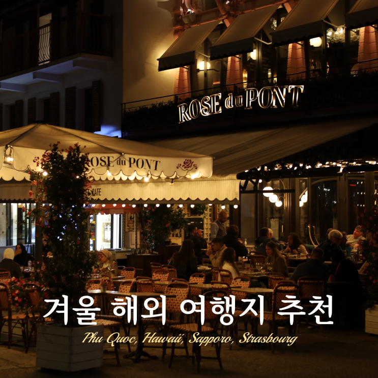 겨울 가족 해외여행지 추천 BEST 4 도시 연말 겨울 가족 해외여행지 추천 BEST 4 도시 연말