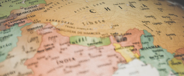 The world in Brief November 21 2024