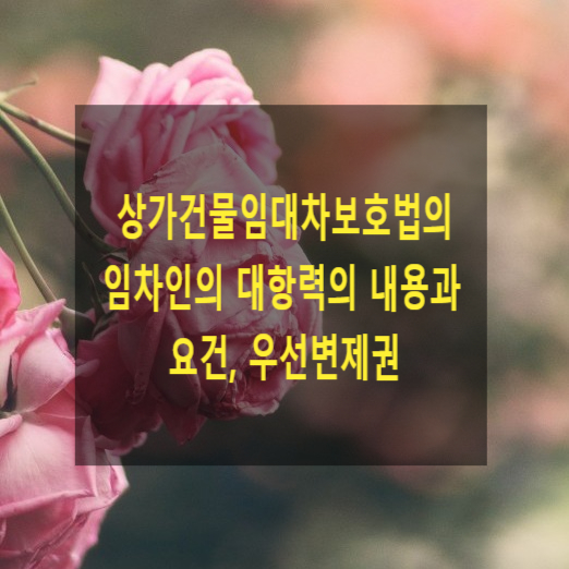  상가건물임대차보호법의 임차인의 대항력의 내용과 요건, 우선변제권