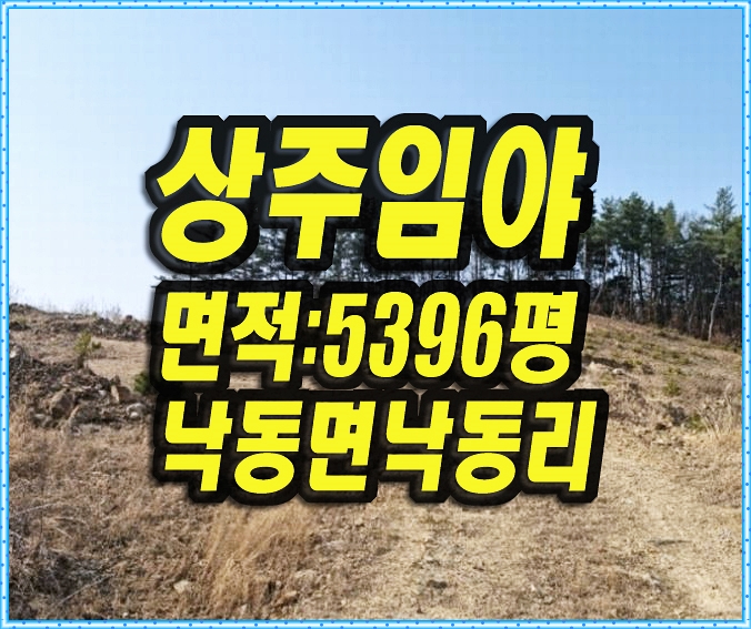  임야경매 상주시 낙동면 땅 임야 경매 주택용지 캠핑장