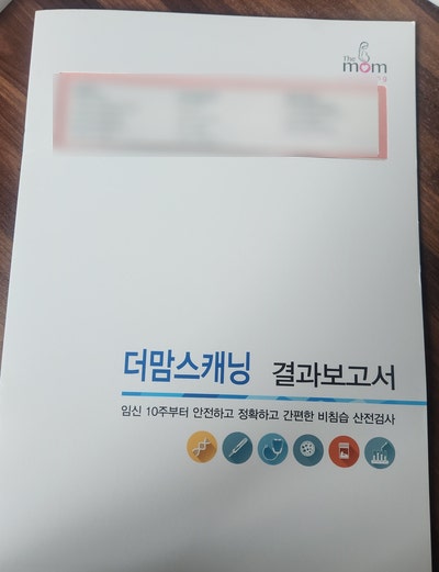  복마미의 17주 만 34세 나이에 의한 고위험 니프티 검사 결정과 후기