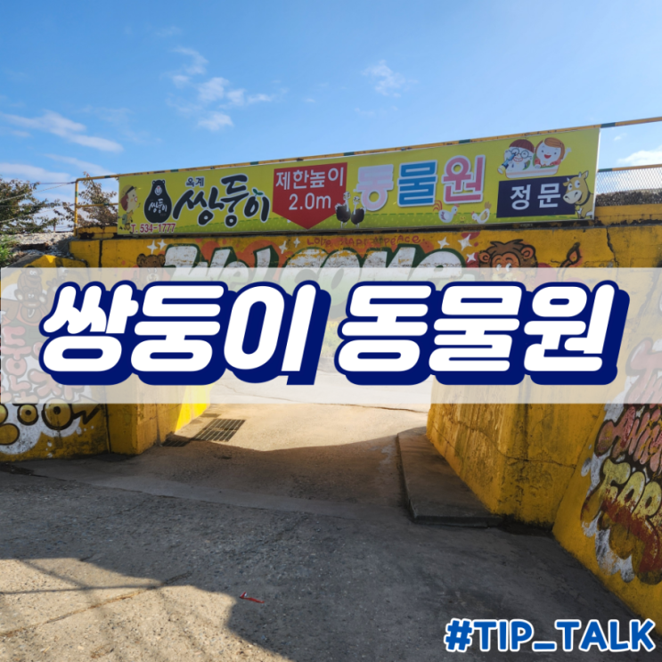  강릉 가볼만한 곳 쌍둥이 동물농장