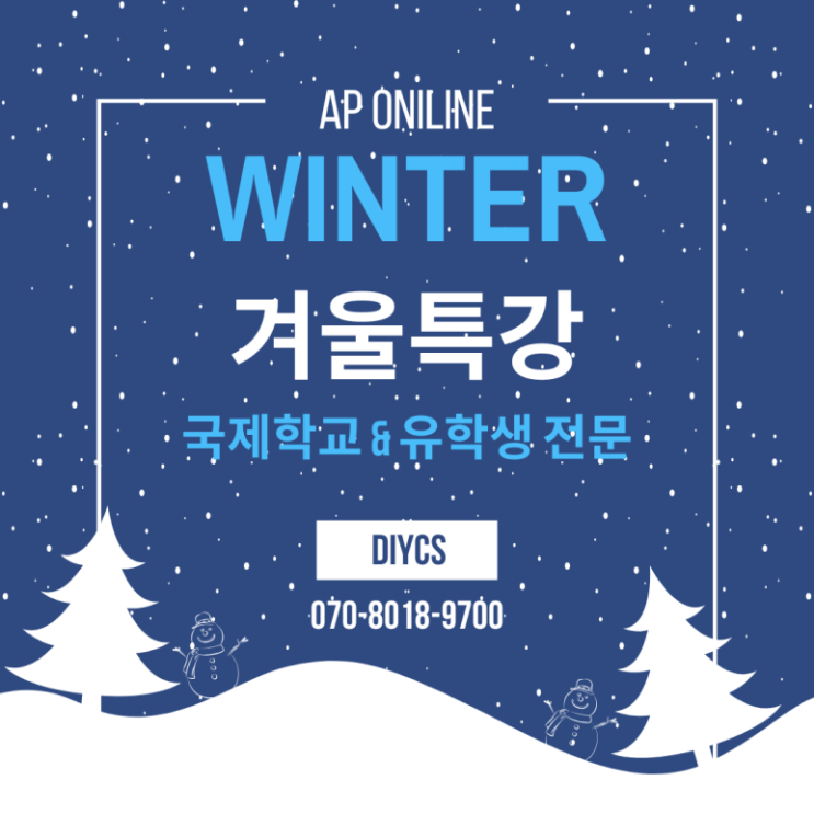  국제학교학원 정보 아카뷰 DIY코딩스쿨 겨울방학특강- DIYCS