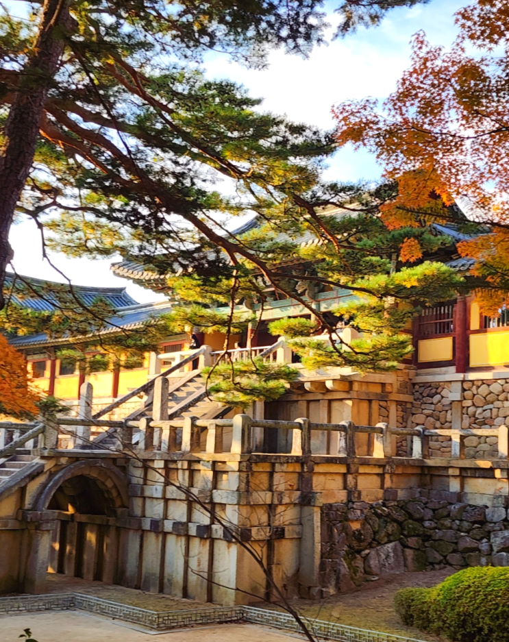  [역장투어 경주1박여행] 단풍명소 불국사&동궁과월지 야경&대릉원&첨성대&황리단길 기차여행
