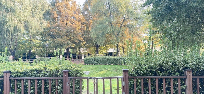 사진 7