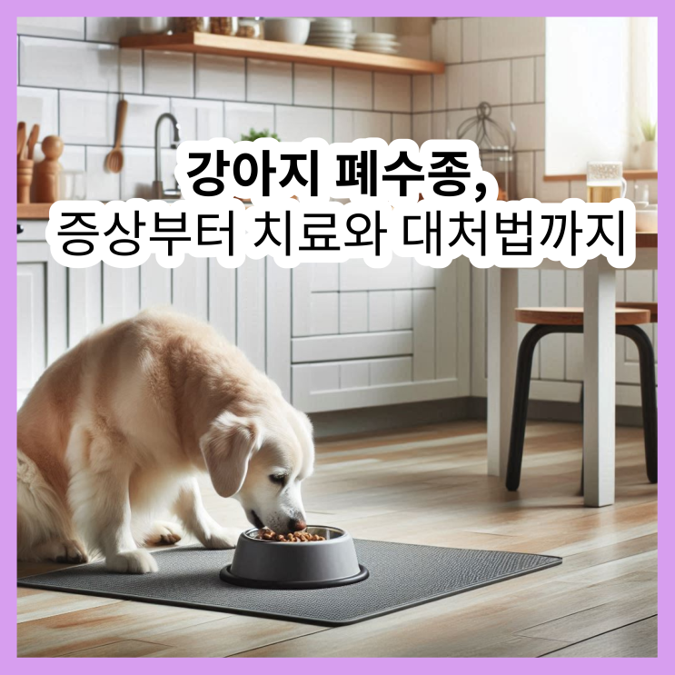  노견 폐수종, 증상부터 치료와 대처법까지 한눈에 알아보기