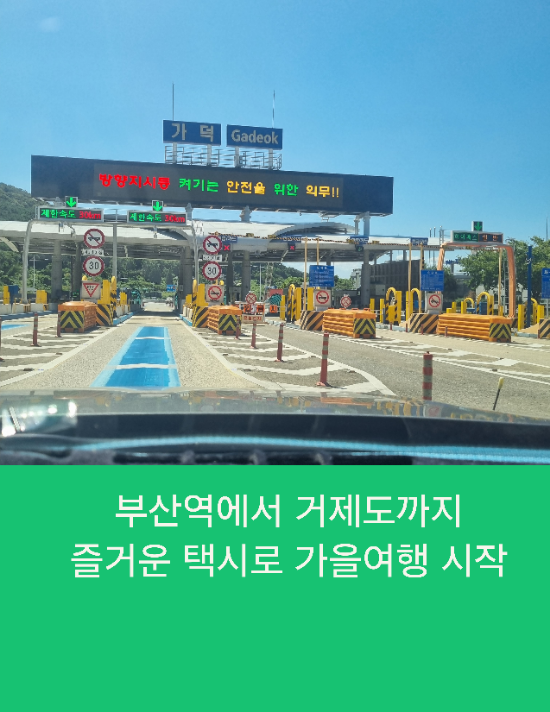  부산역에서 거제도 소노캄까지 즐거운 택시로 가을여행을 시작해요